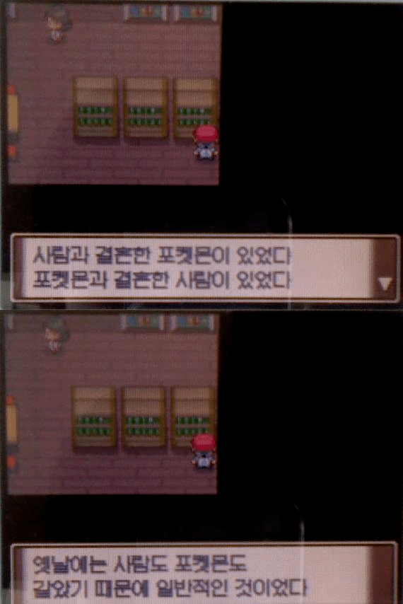포켓몬 세계의 인간들은 왜 퇴화한걸까_1.webp