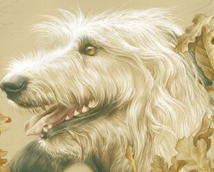 반지의제왕) 사우론: 할 수 있다. 나라면!_10.png