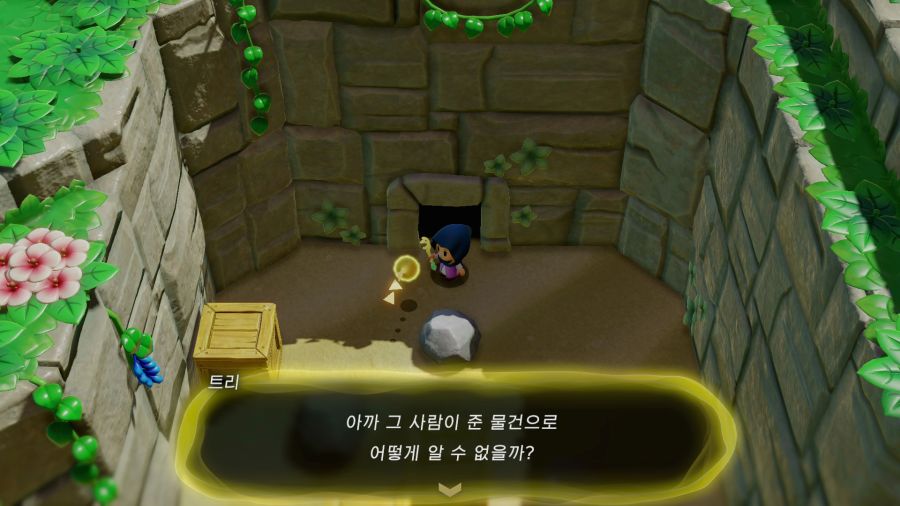 젤다의 전설 지혜의 투영_13.png