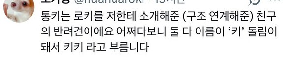 웃상와와 울상와와_2.png