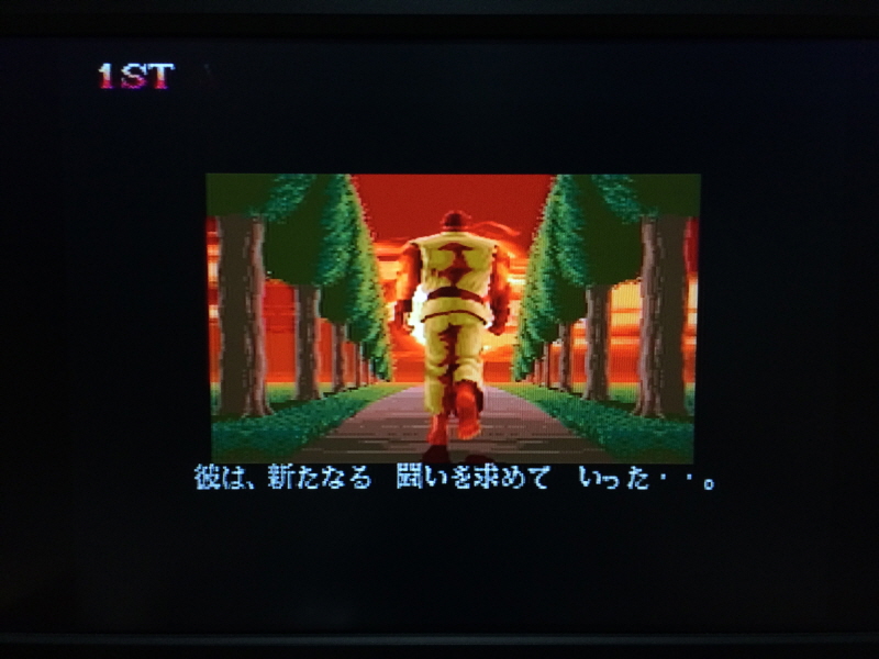 스트리트 파이터 30주년 기념 콜렉션_217.jpg