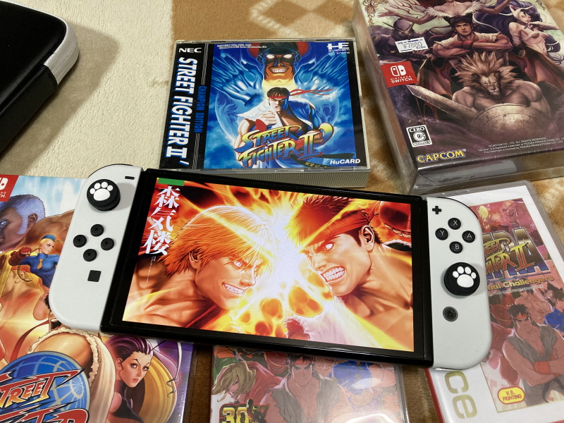 스트리트 파이터 30주년 기념 콜렉션_231.jpg