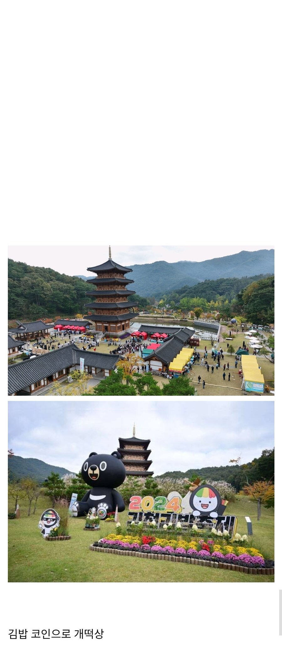 10년간 800억의 혈세를 들여 만든 관광지의 최후.....jpg_3.jpg