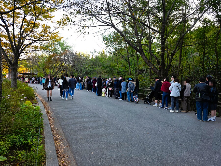 서울억새축제 (스압주의)_3.png