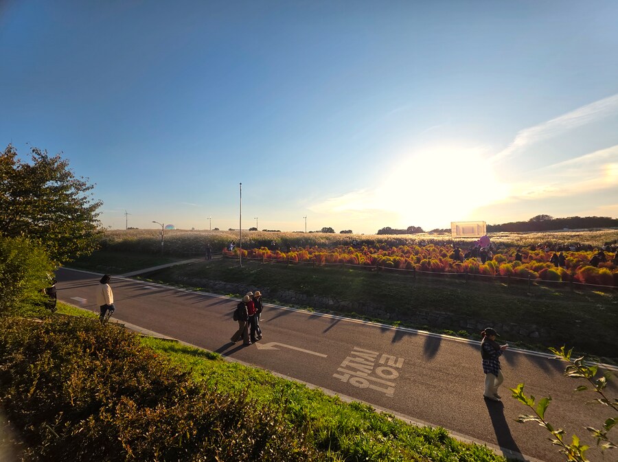 서울억새축제 (스압주의)_21.png