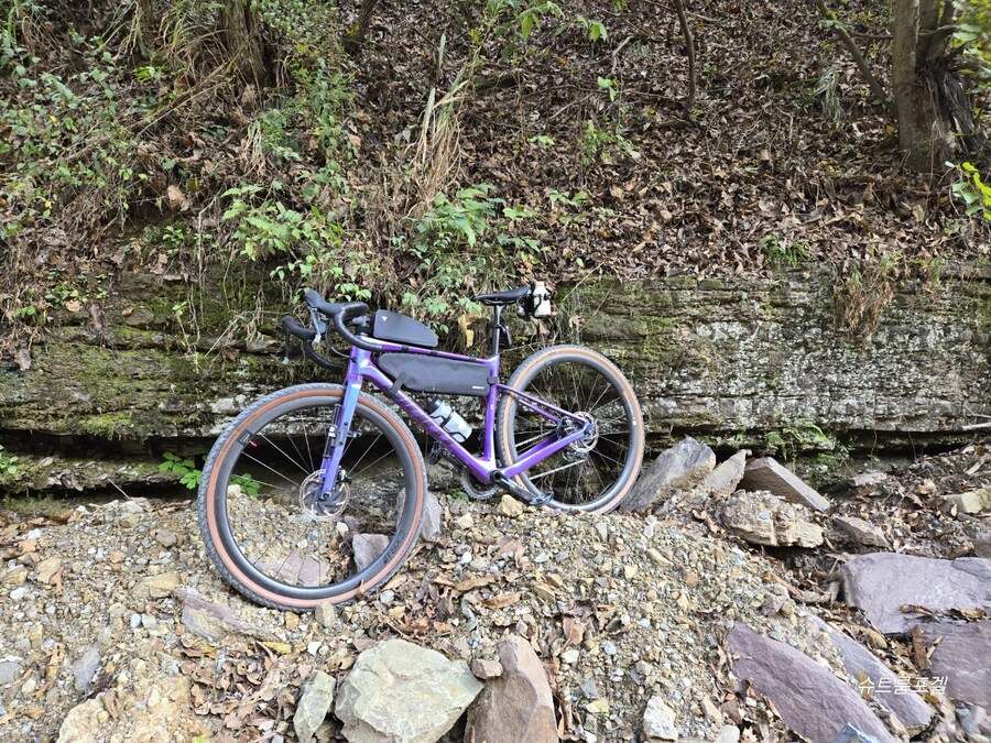 기세좋게 산타고 왔습니다_3.jpg