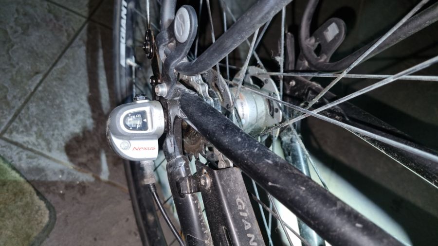 화석 영입(이스케이프 N3 2013)_5.jpg