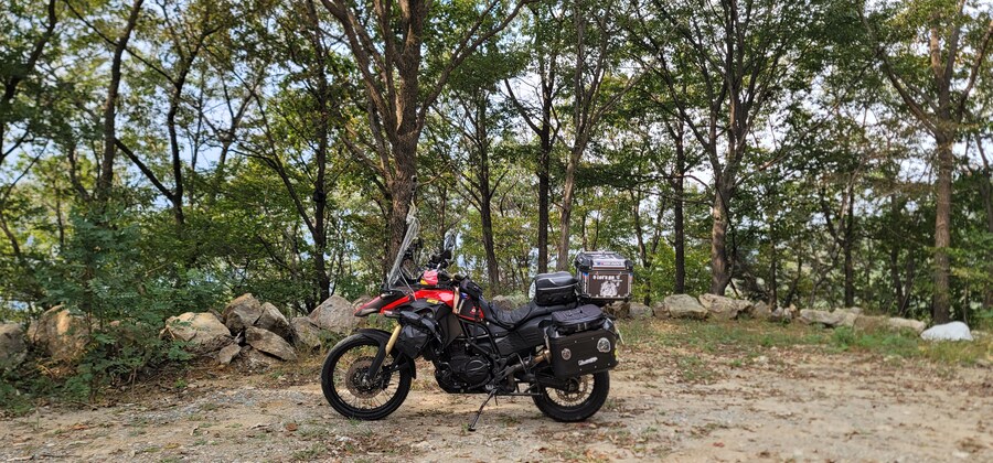 진안메타세콰이어 길_1.jpg