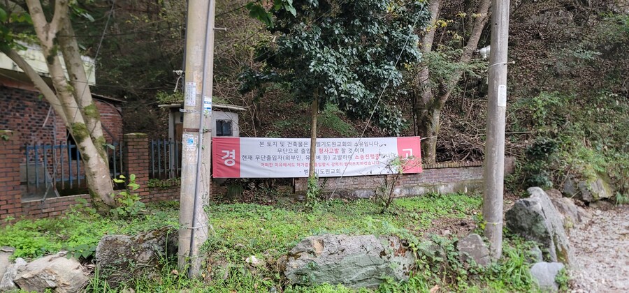 진안메타세콰이어 길_4.jpg