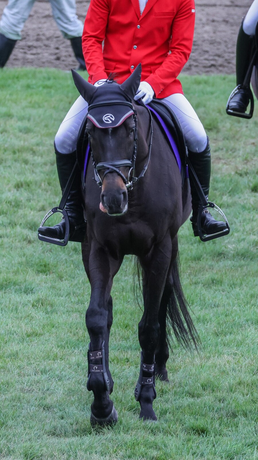 경마) 가장 많은 상금을 획득한 유도마_1.png