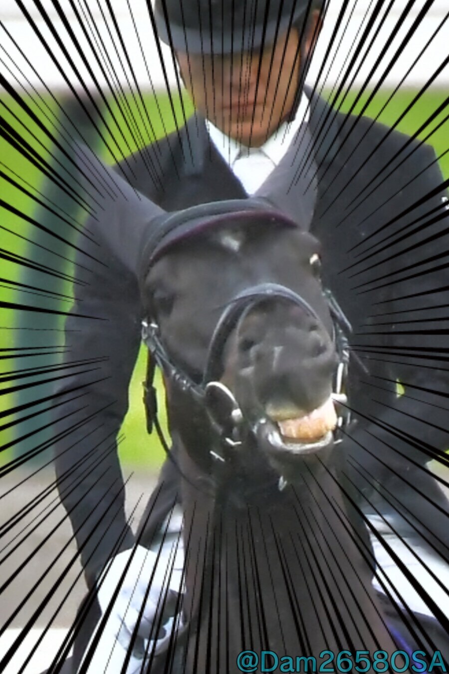 경마) 여~~국화상 구경 어서오고~_2.jpg