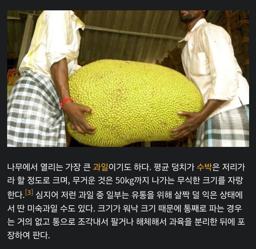 님들 "잭 후르츠" 라는 과일이 뭔지 암?_1.jpg