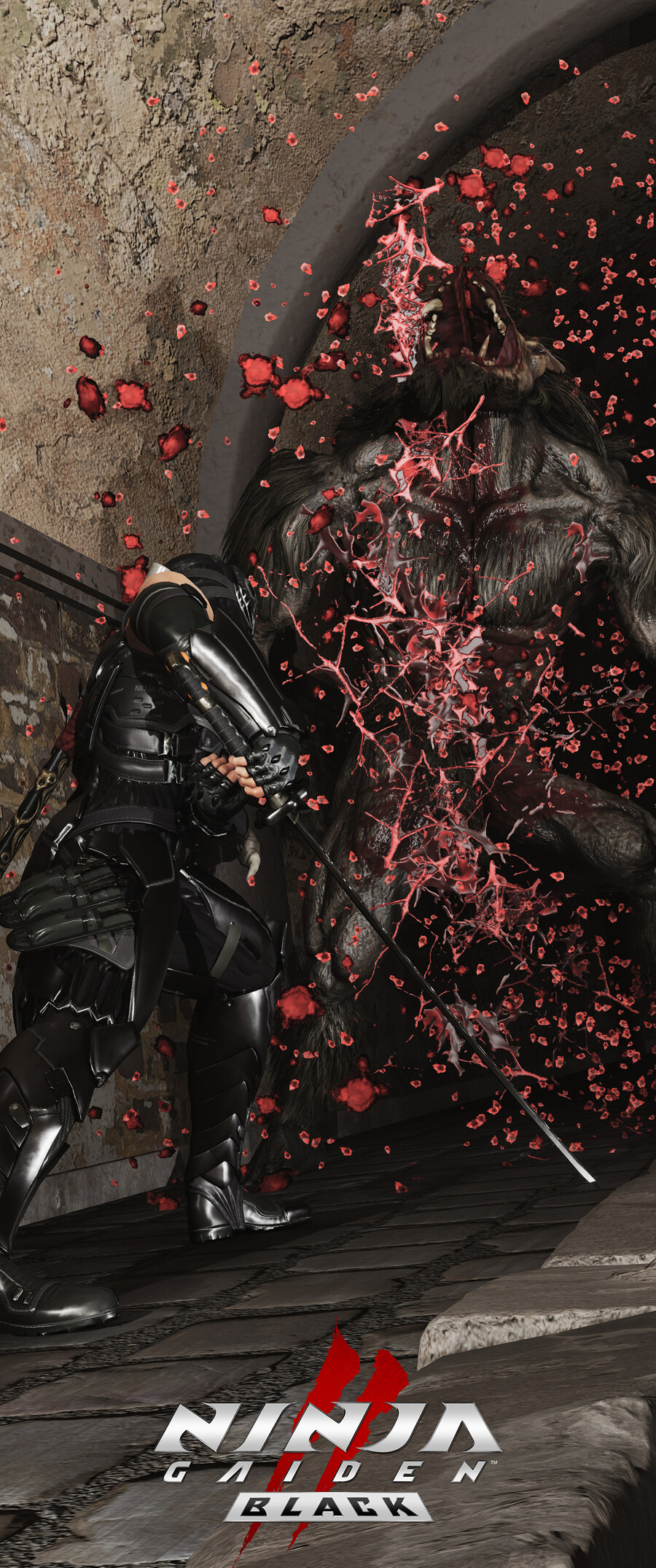 닌자 가이덴2 블랙.jpg_7.jpg