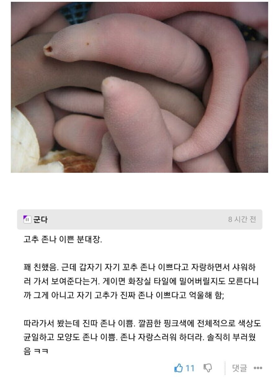 실제로 예쁜 꼬츄를 본 디시 유저들.jpg_1.jpg