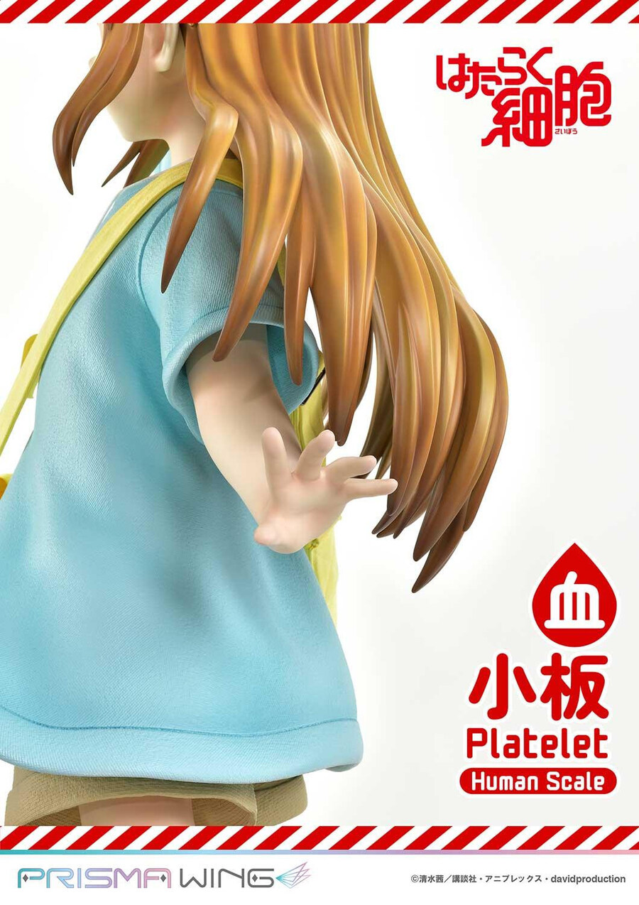 [프라임1스튜디오] 라이프 스케일 마스터라인 일하는 세포 혈소판_15.jpg