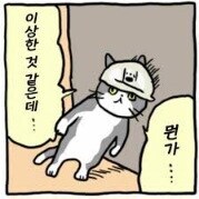 효성고 화학교사 김주석이 보낸 암살자_2.jpg