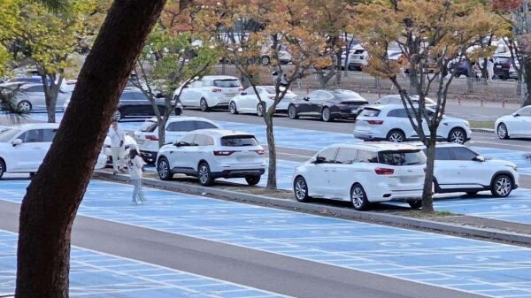 서울대공원 주차장, 무개념 주차 모습_1.jpg