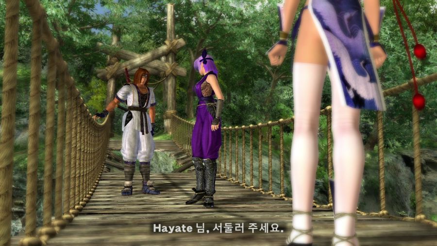 DEAD OR ALIVE 4_12.jpg