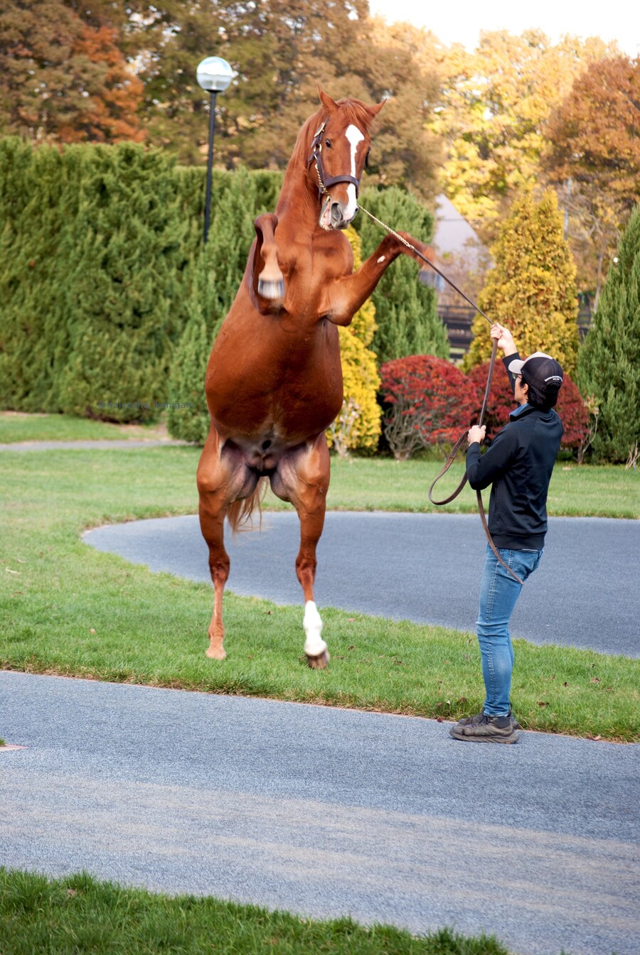 경마) 새꺄, 지금 나한테 깝치냐!?_1.png