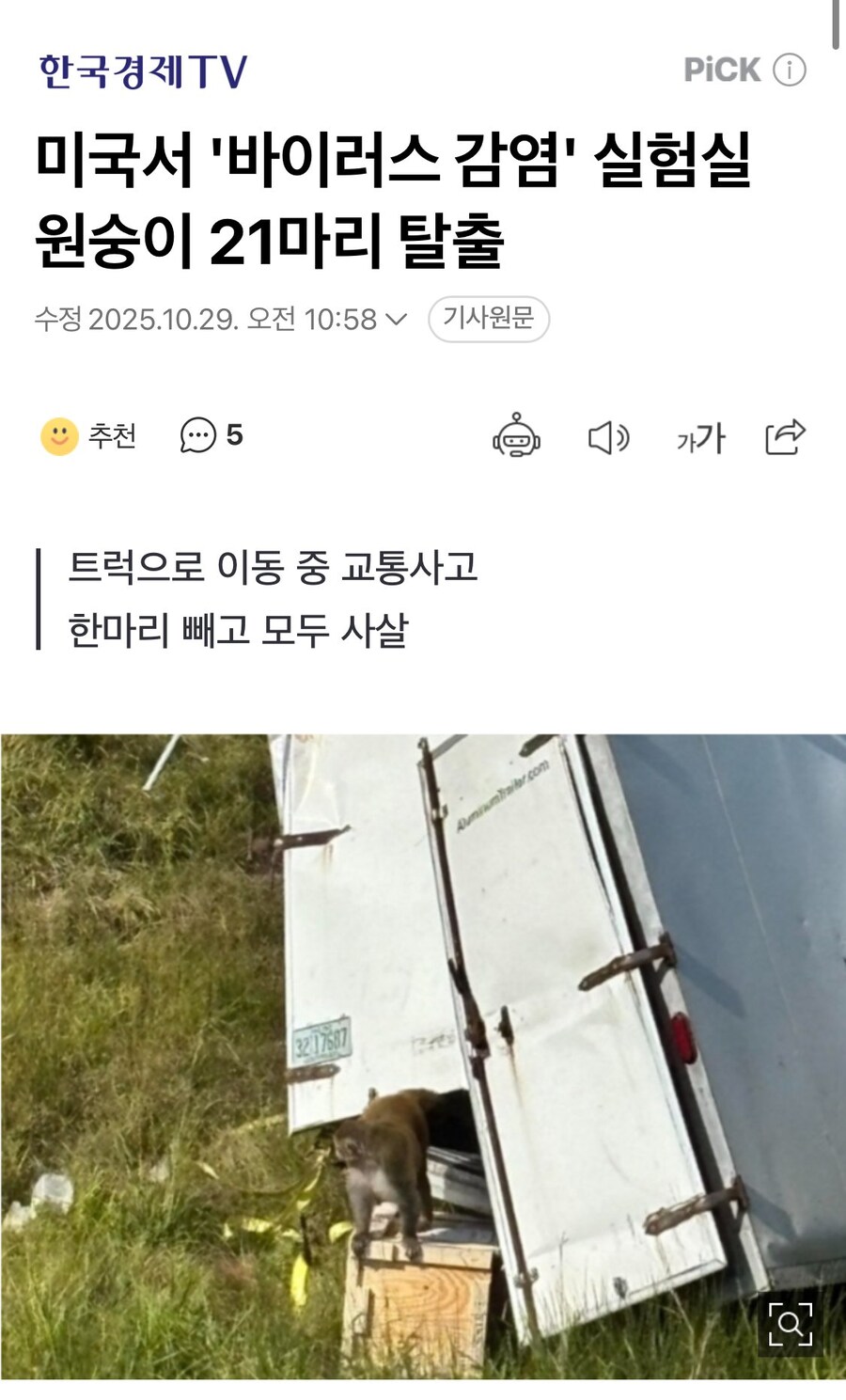 미국에서 바이러스 감염 실험실 원숭이 대거 탈주_1.jpg