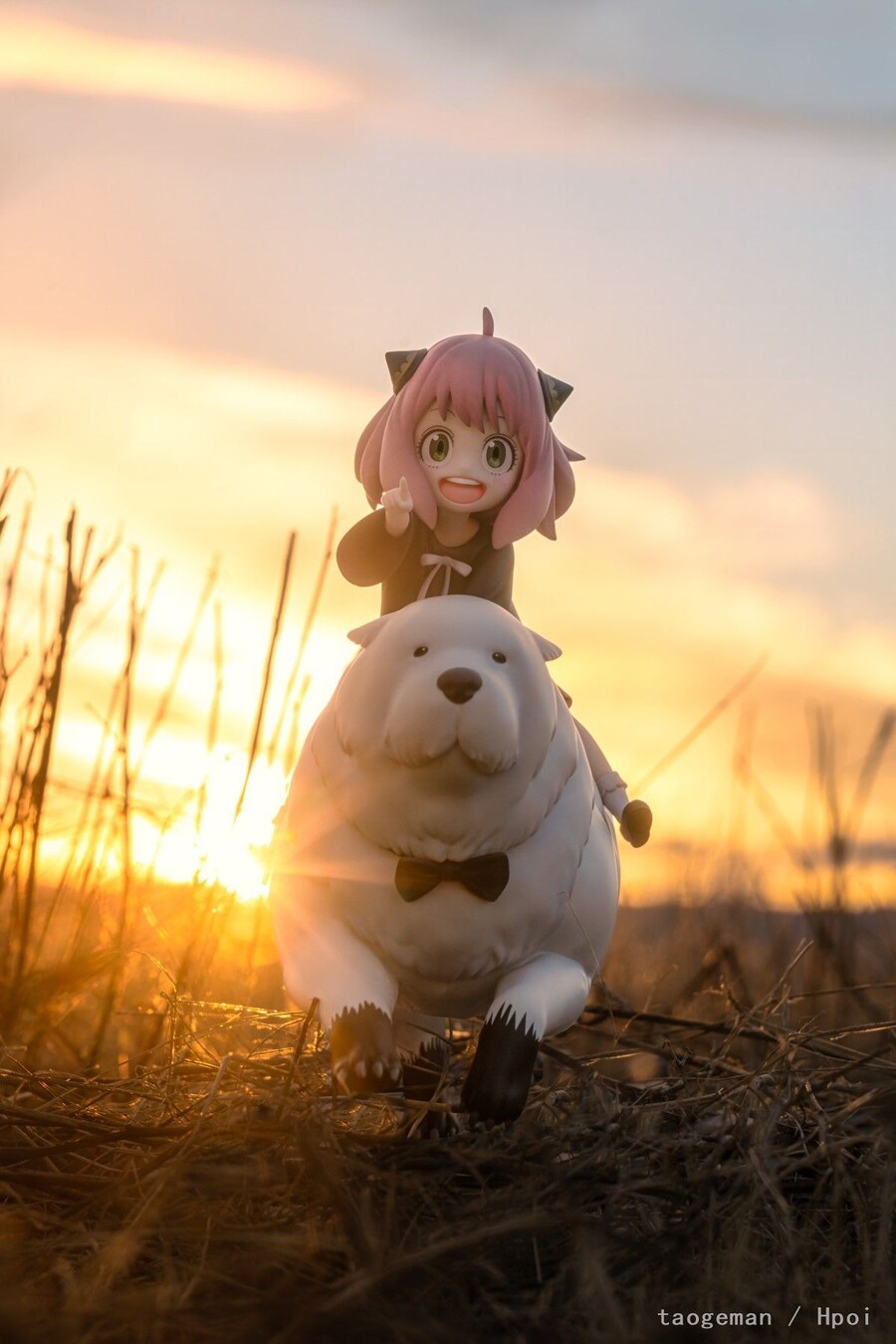 감성돋게 찍은 피규어 사진들_3.jpg