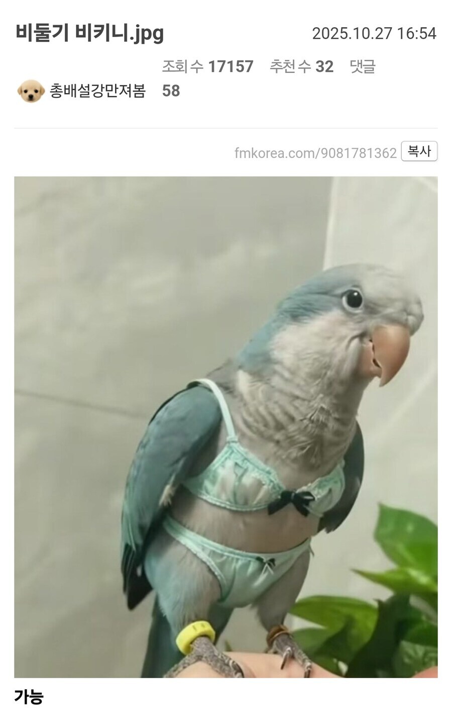 호불호 비키니 jpg_1.png