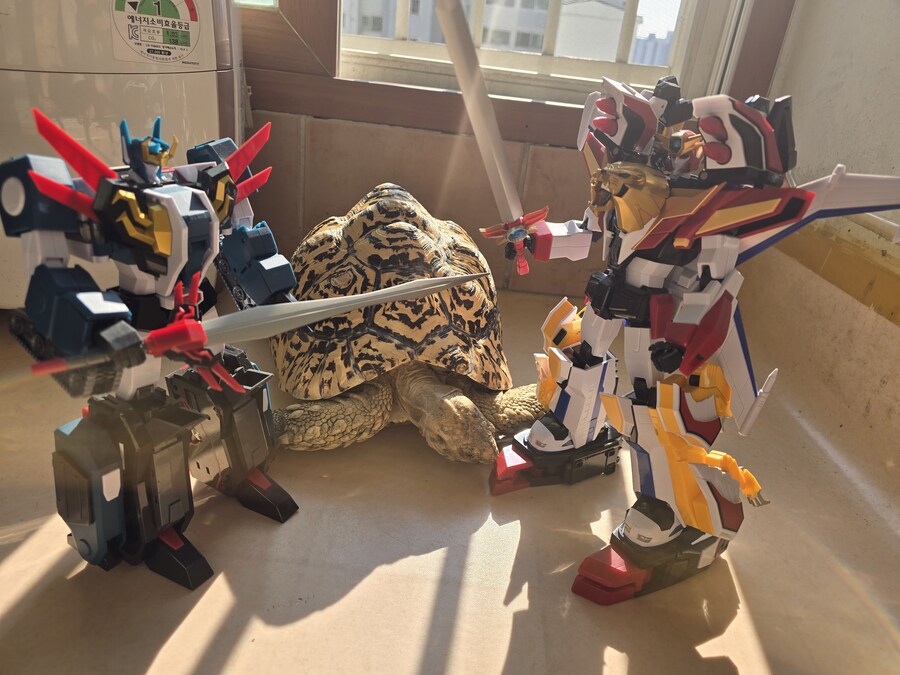 그레이트 다간과 세븐체인져_1.jpg