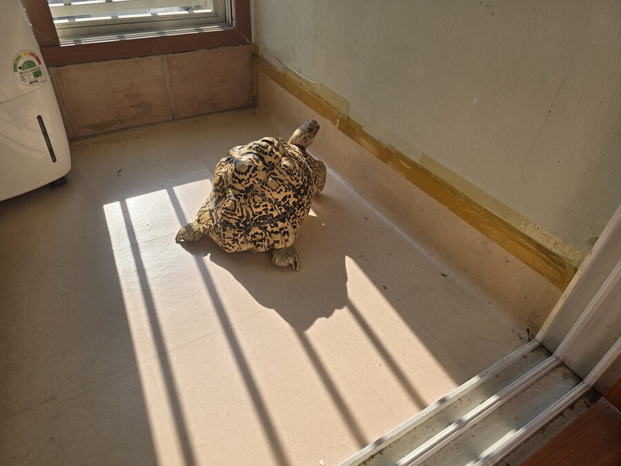 그레이트 다간과 세븐체인져_4.jpg