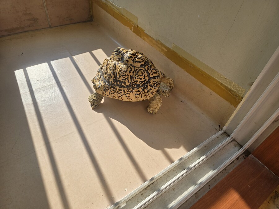 그레이트 다간과 세븐체인져_6.jpg