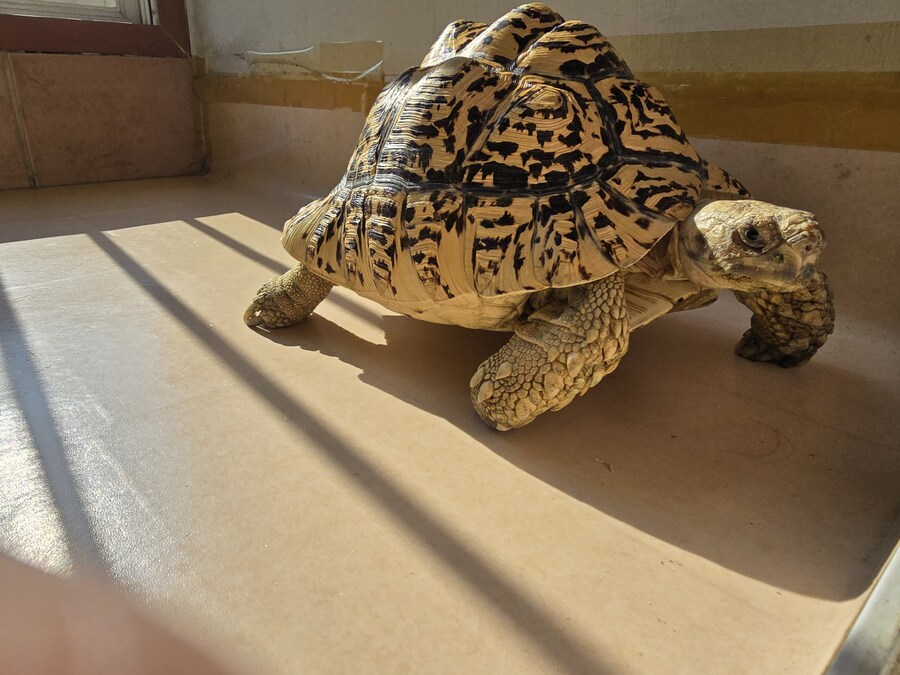 그레이트 다간과 세븐체인져_8.jpg