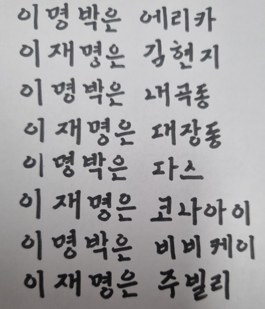 나름 평행이론이야 이재명_1.png