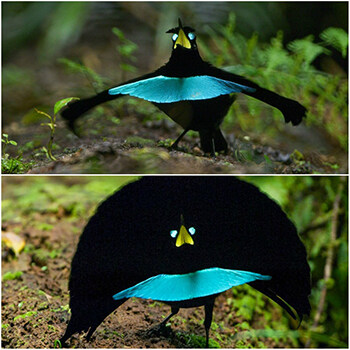 이렇게 생긴 이유_2.jpg