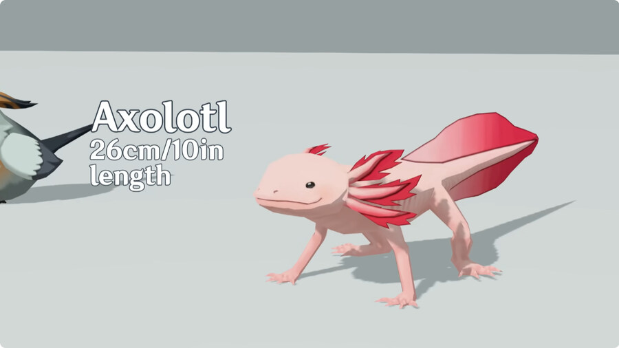 원신 캐릭터 크기 비교.jpg_3.jpg