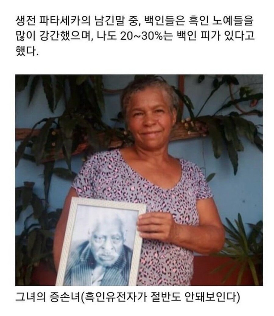 번식 노예 파타세카 이야기_4.jpg