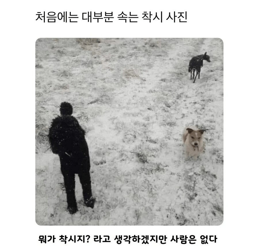 처음에는 대부분 속는 착시 사진_1.png