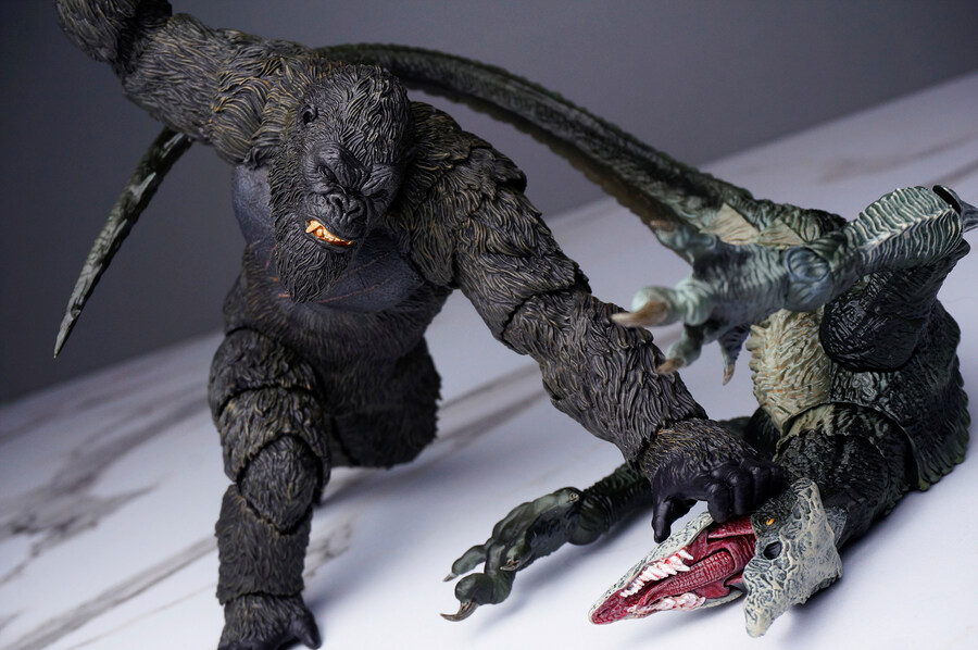 히야토이즈 콩 (고질라X콩)_10.jpg