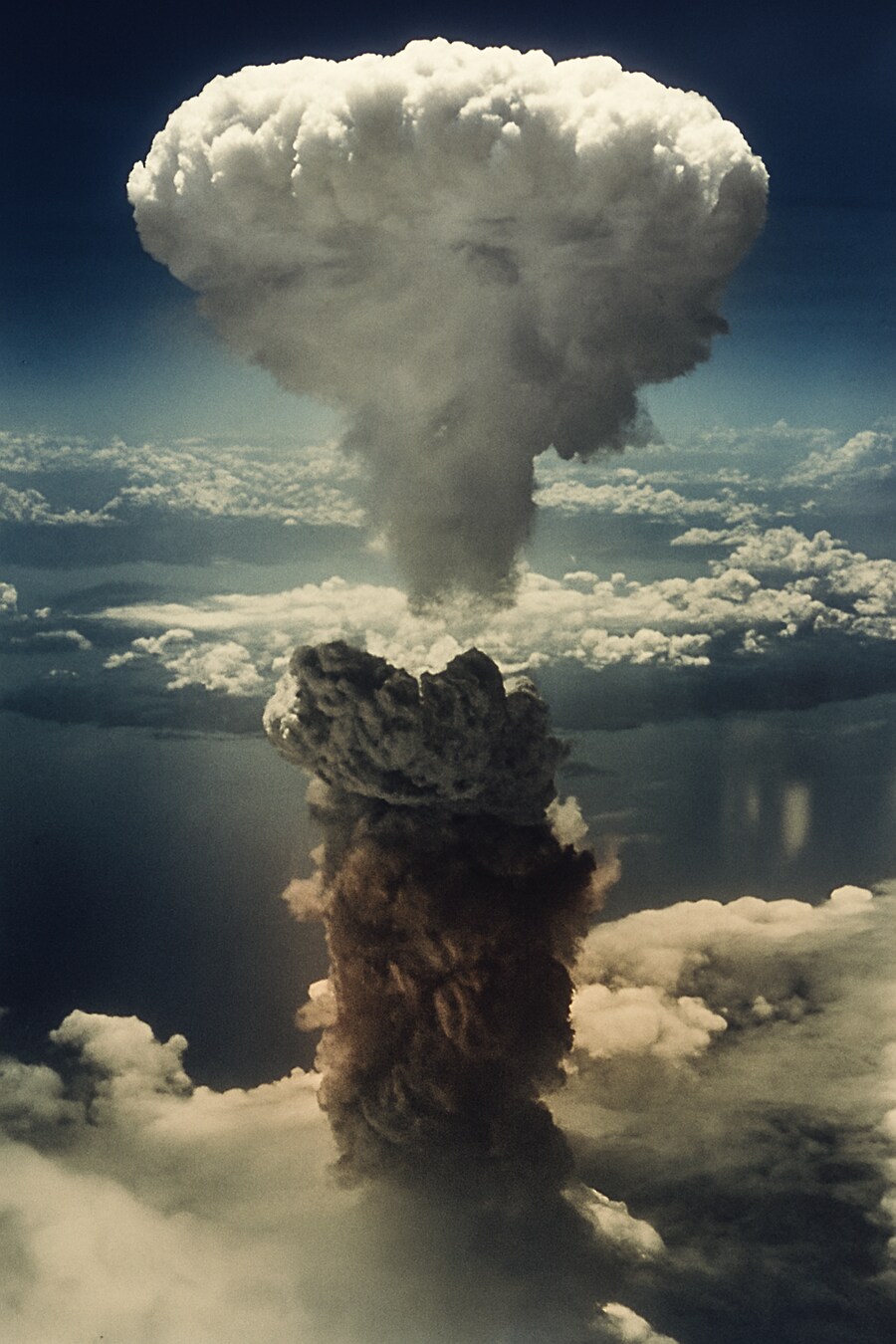 우리나라에서는 많이 동감하지 못하는 서구권의 여론_1.png