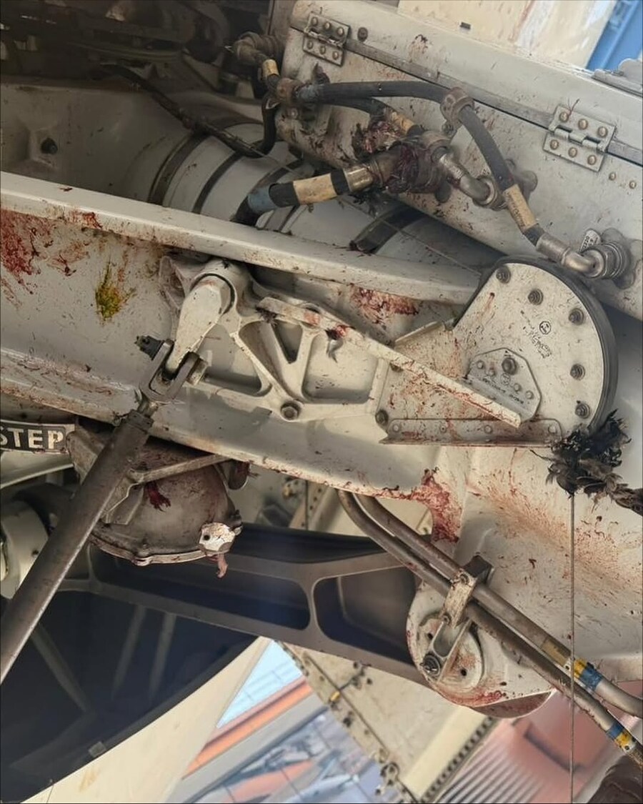 약혐] 이륙 중 새떼와 충돌한 사우디 여객기..._2.jpg