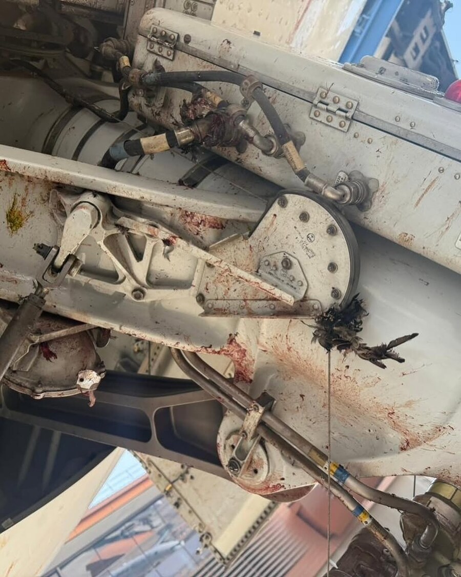 약혐] 이륙 중 새떼와 충돌한 사우디 여객기..._4.jpg