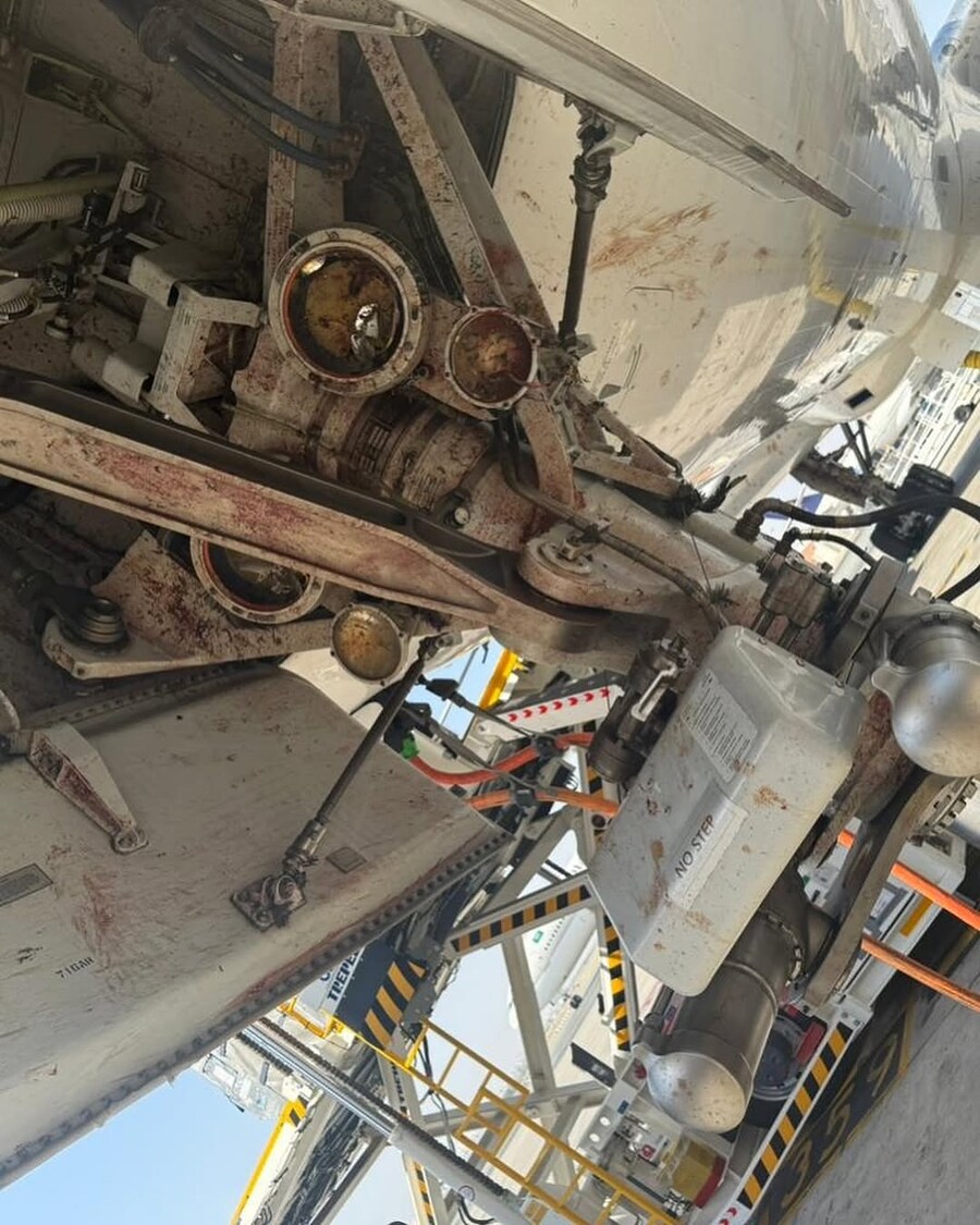 약혐] 이륙 중 새떼와 충돌한 사우디 여객기..._5.jpg