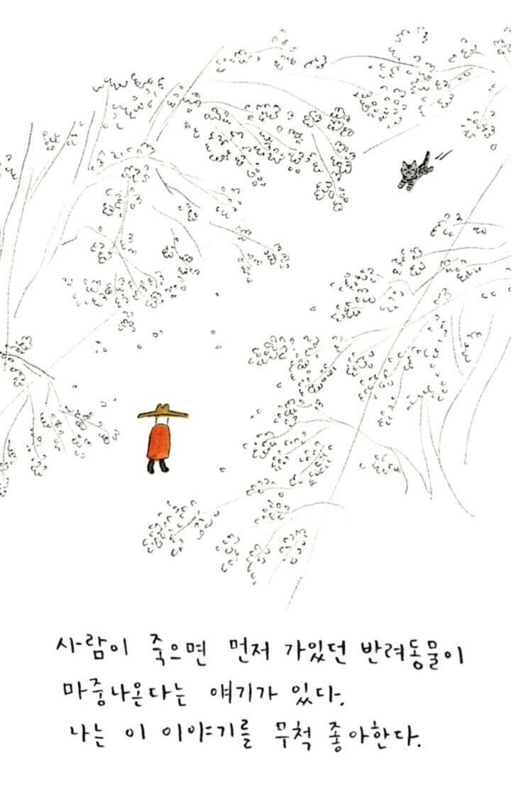 죽음을 앞둔 애완견의 마지막 행동_1.jpg