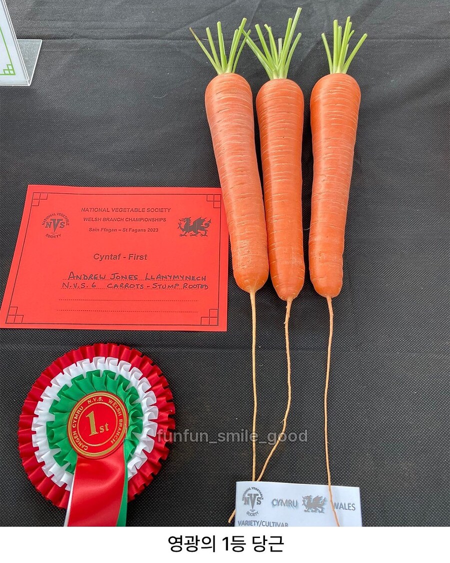 예쁜 야채 대회 수상작들.jpg_6.jpg