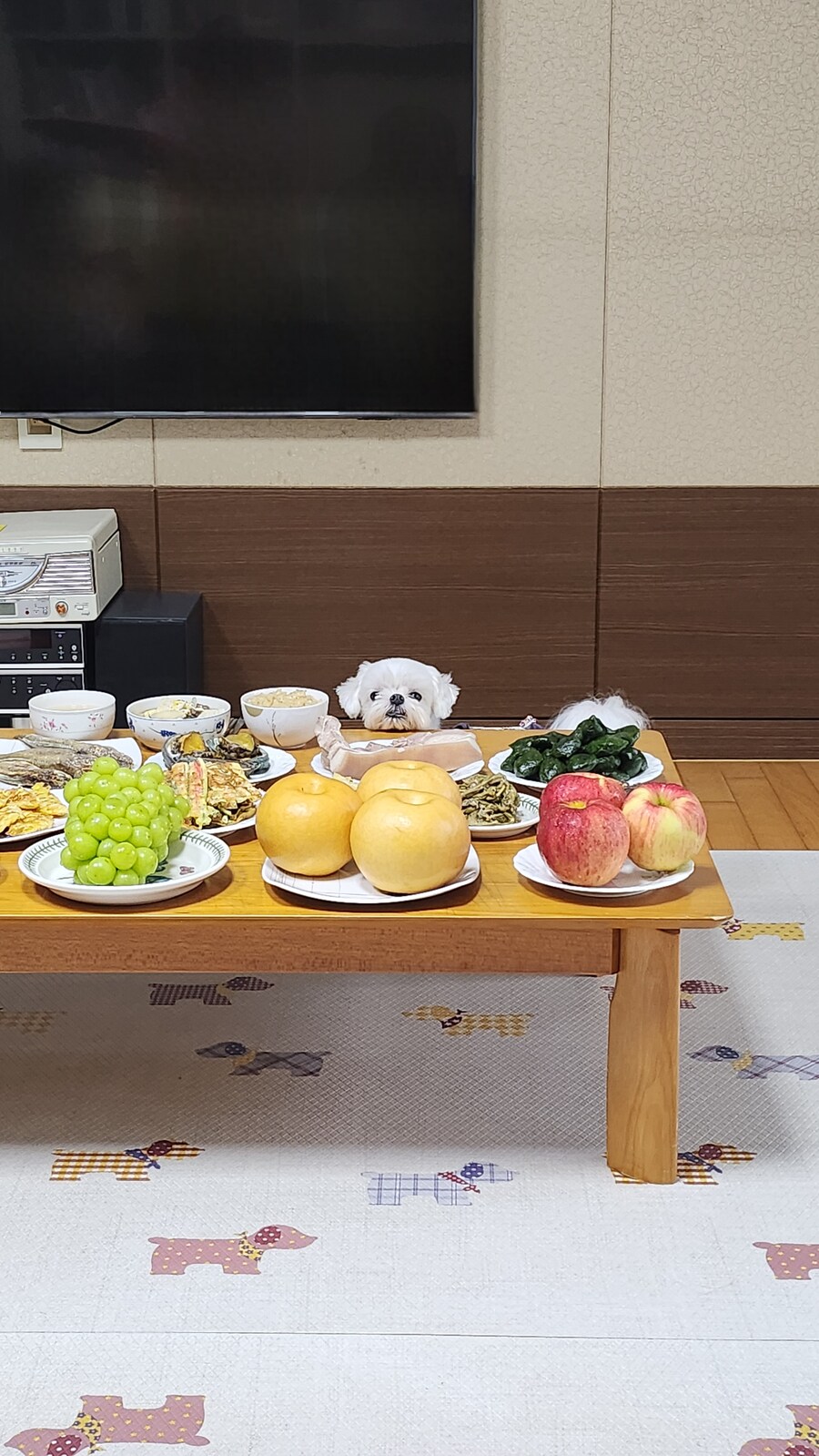 무슨무슨법 지키러왔습니다_3.jpg