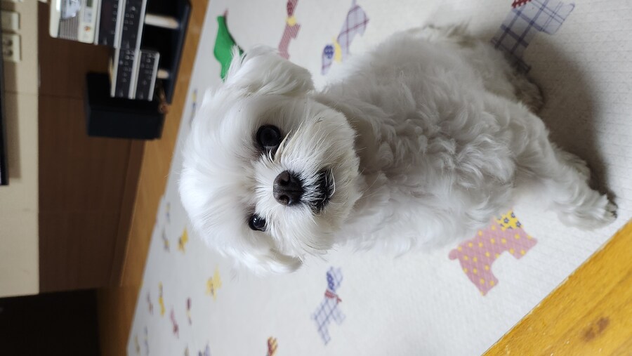 무슨무슨법 지키러왔습니다_6.jpg