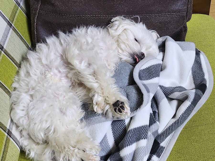 무슨무슨법 지키러왔습니다_7.jpg