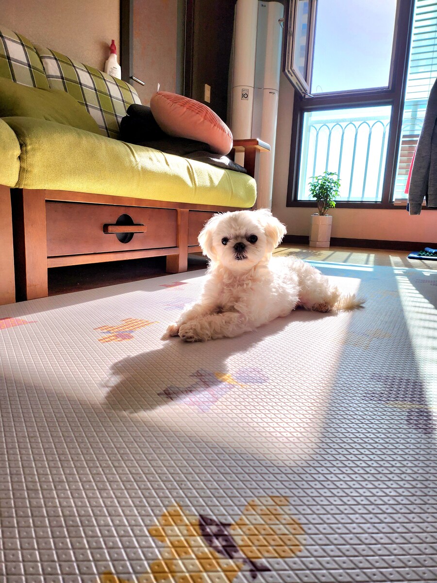 무슨무슨법 지키러왔습니다_8.jpg