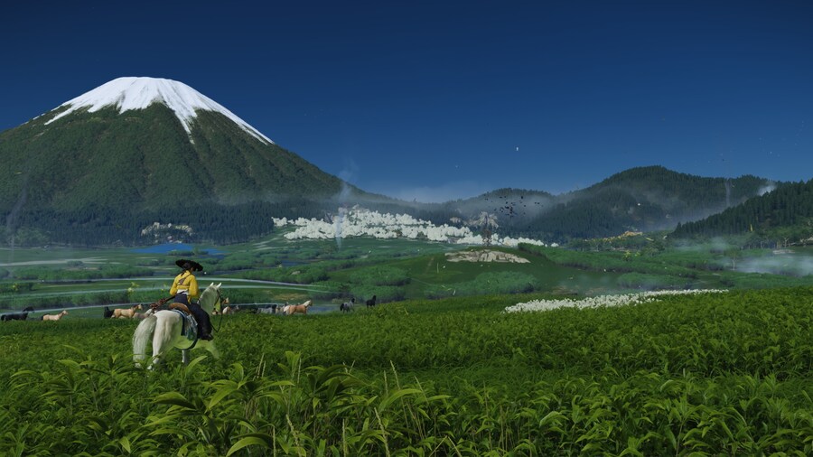 Ghost of Yōtei_4.jpg