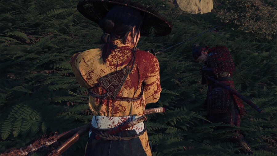 Ghost of Yōtei_15.jpg