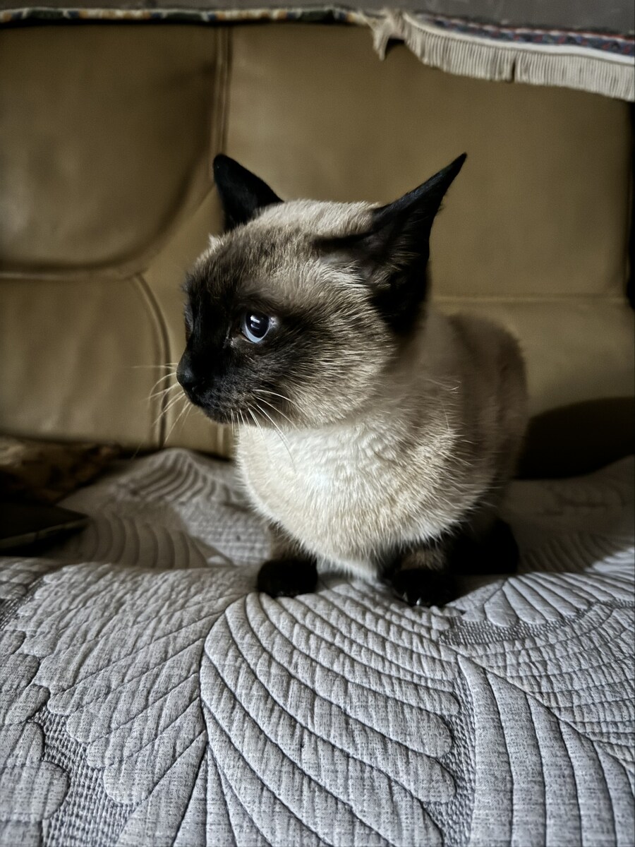 삼겹살 솔로잉_9.jpg