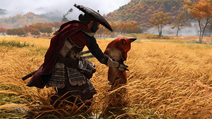 여우가 애교 부리네_1.jpg